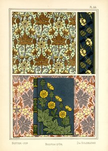 The Buttercup by A. Poidevin